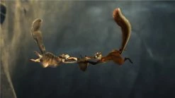 Meilleur prix 🧨 Ice Age 3 - Die Dinosaurier Sind Los (2009) (Blu-ray 3D (+2D) + DVD) ⭐ 15 Meilleur prix 🧨 Ice Age 3 - Die Dinosaurier Sind Los (2009) (Blu-ray 3D (+2D) + DVD) ⭐ -Blu-ray 2014 Soldes Magasin 10273719 8 92