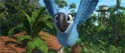 Offres 🥰 Rio 2 - Dschungelfieber (2014) ❤️ 10 Offres 🥰 Rio 2 - Dschungelfieber (2014) ❤️ -Blu-ray 2014 Soldes Magasin 10296849 5 92